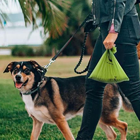 Wholesale 100% Compostable Doggie / Pet Poop Bag