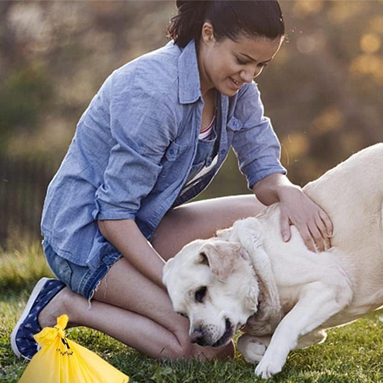 Customized Color/Logo for Compostable and Biodegradable Pet Waste Bag